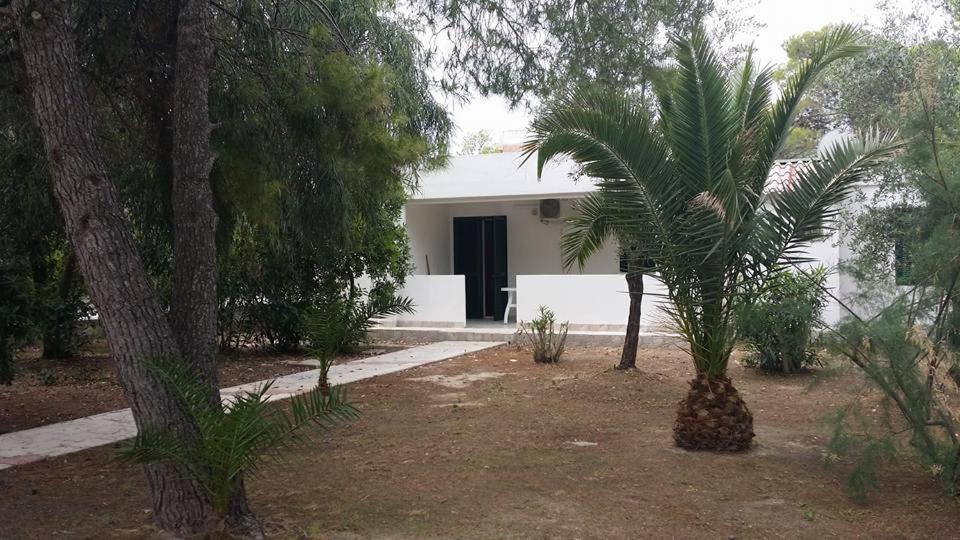 Villaggio Sabbiadoro Vieste Kamer foto